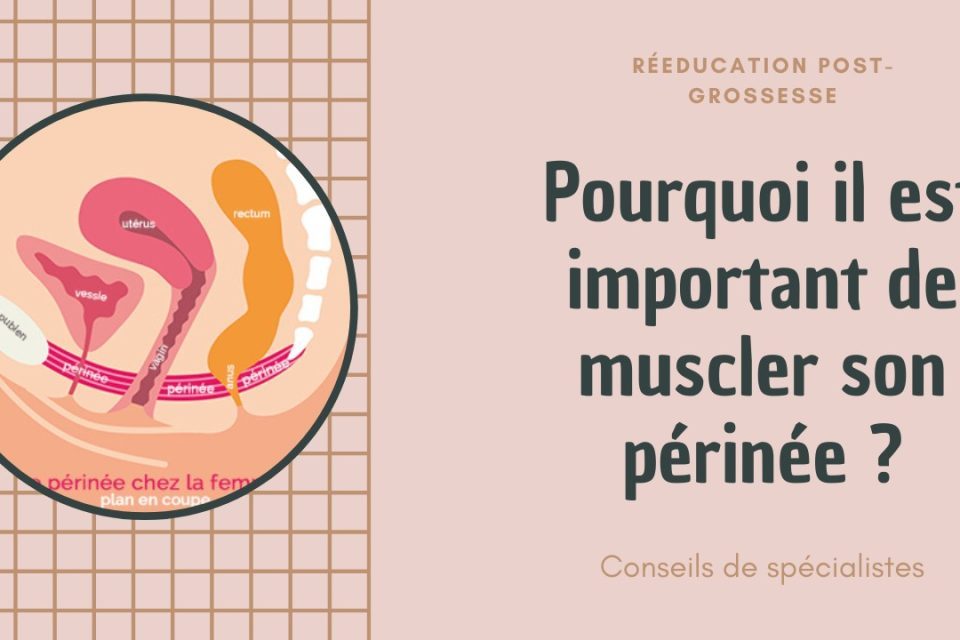 Tout savoir sur la rééducation périnéale